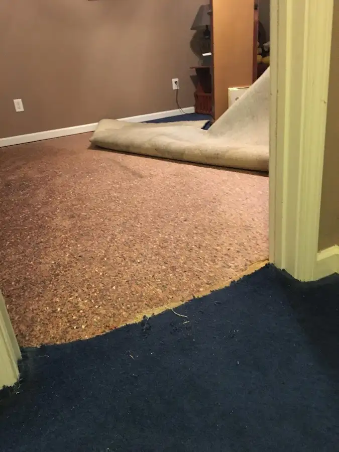 Carpet pad removal revealing water damage during Water Mitigation Services in Marathon